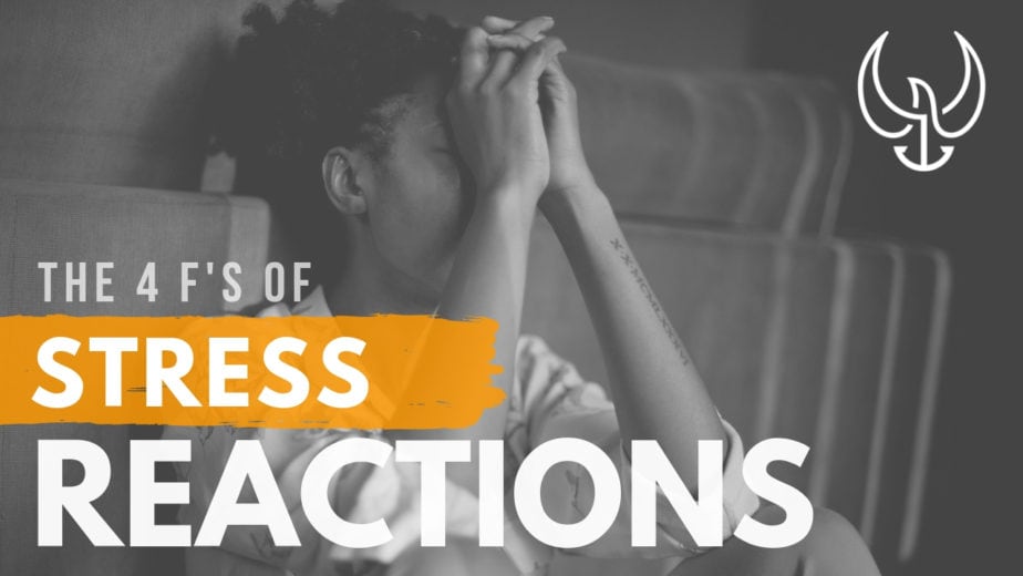 The Fourth Response in Stressful Situations is taught by Chris Sajnog.